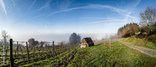 Vertougit (Corrèze, Nouvelle aquitaine, France) - Vue panoramique du vignoble de la vallée de la Vézère en hiver sous la brume avec une cabane de vigneron pittoresque