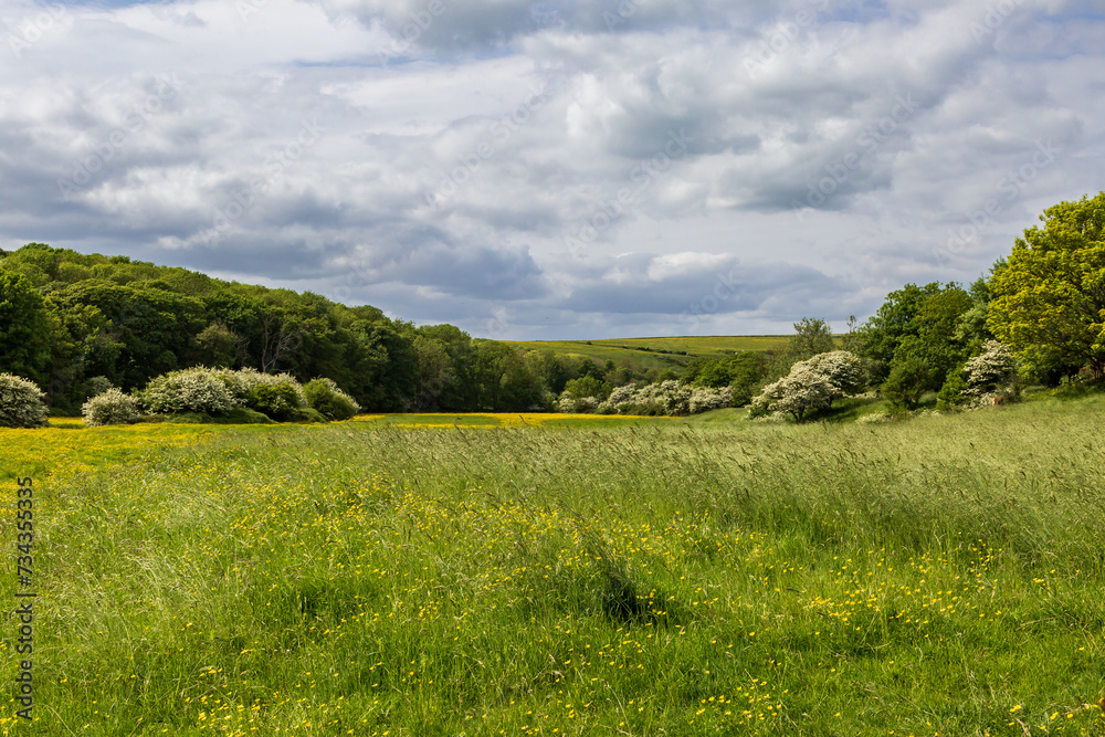 A view over Sussex countryside, on a sunny day in May