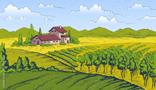 Vineyard landscape vector concept