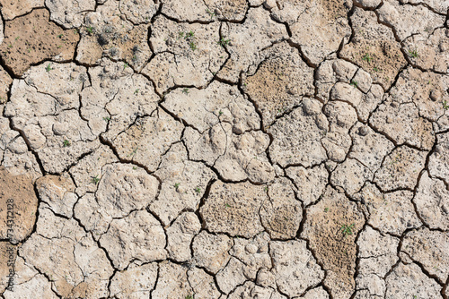 Detalle de tierra seca agrietada debido a la sequía y al cambio climático