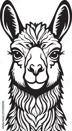 Head of a Cute Alpaca Illustration
