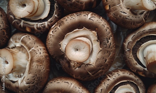 Mushroom champignons on a wooden background. Healthy food.