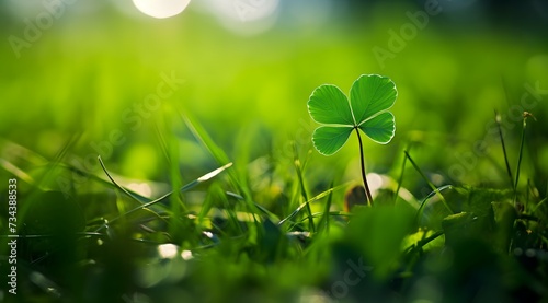 A green clover standing out amidst a field of clovers