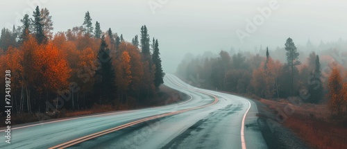 Winding Road in Misty Autumn Forest at Dawn © evening_tao