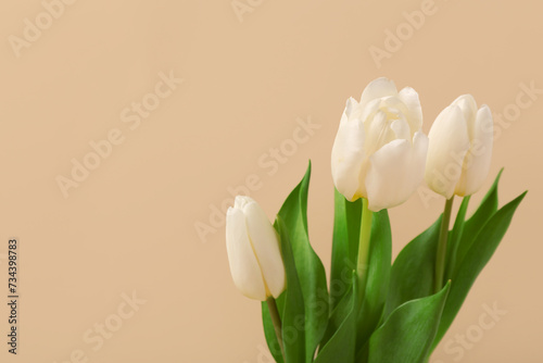Elegant white tulips with g...