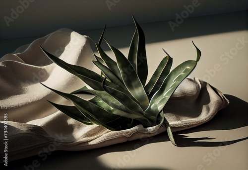 Aesthetic minimal floral composition with aloe vera plant leaves with shadows on crumpled beige linen blanket. Generative AI