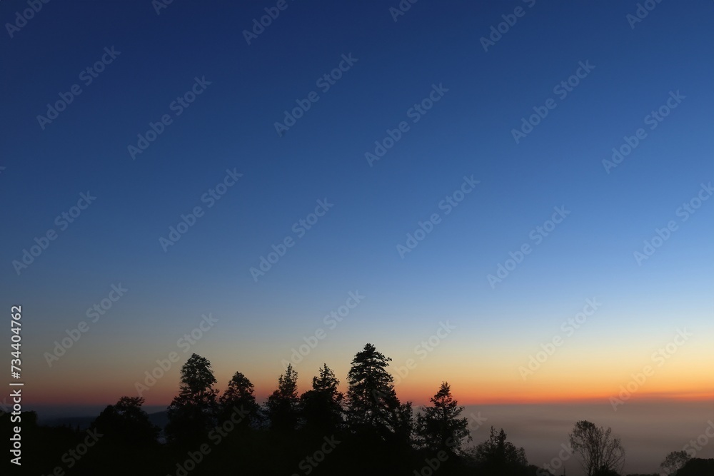 background textures wall for artworks