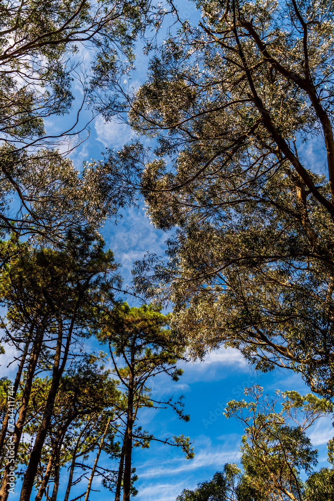 Paisaje en las Islas Cíes, Galicia. Paisaje en las Islas Cíes, Galicia.