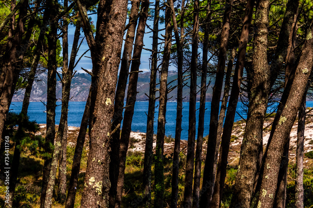 Paisaje en las Islas Cíes, Galicia. Paisaje en las Islas Cíes, Galicia.