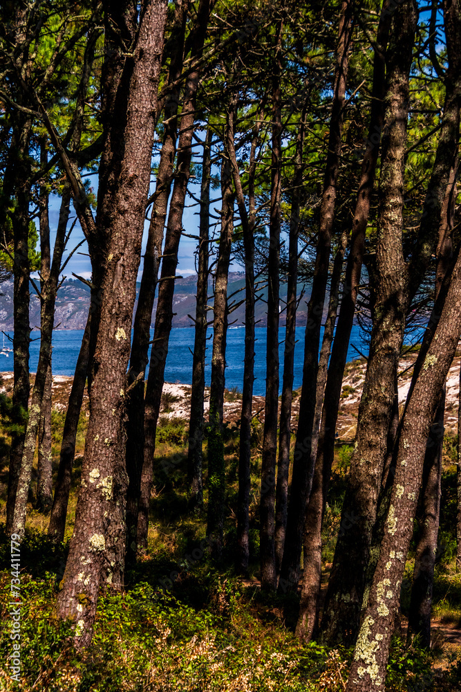 Paisaje en las Islas Cíes, Galicia. Paisaje en las Islas Cíes, Galicia.
