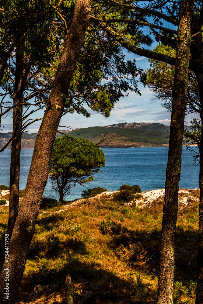 Paisaje en las Islas Cíes, Galicia. Paisaje en las Islas Cíes, Galicia.