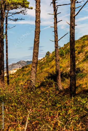 Paisaje en las Islas Cíes, Galicia. photo