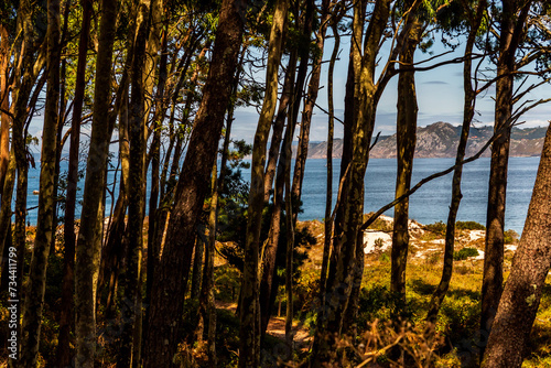 Paisaje en las Islas Cíes, Galicia. photo