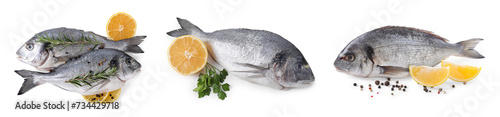 Raw dorada fish and lemon isolated on white, set