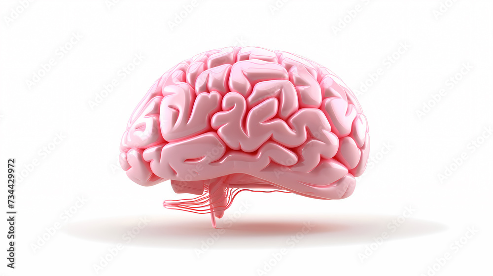 Brain background, bright human brain on isolated background Brain background, bright human brain on isolated background