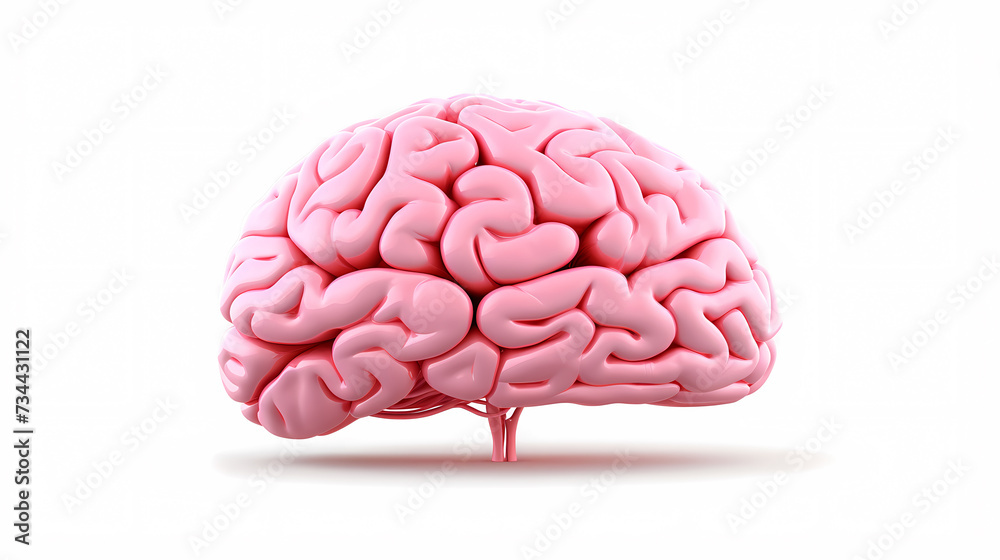 Brain background, bright human brain on isolated background Brain background, bright human brain on isolated background