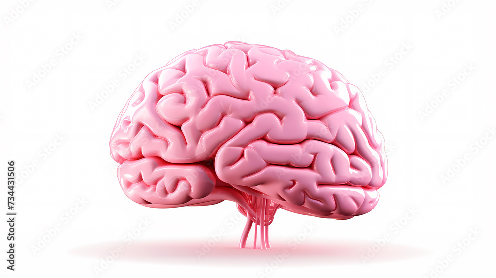 Brain background, bright human brain on isolated background Brain background, bright human brain on isolated background