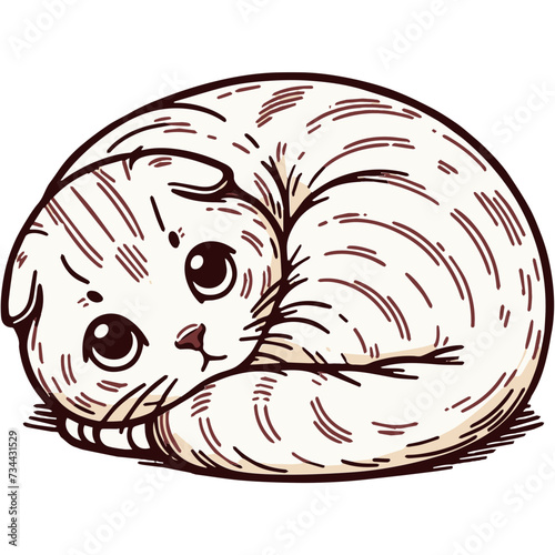 Curled Up Scottish Fold Cat  cozy ball  with a soft gaze inviting a moment of relaxation.