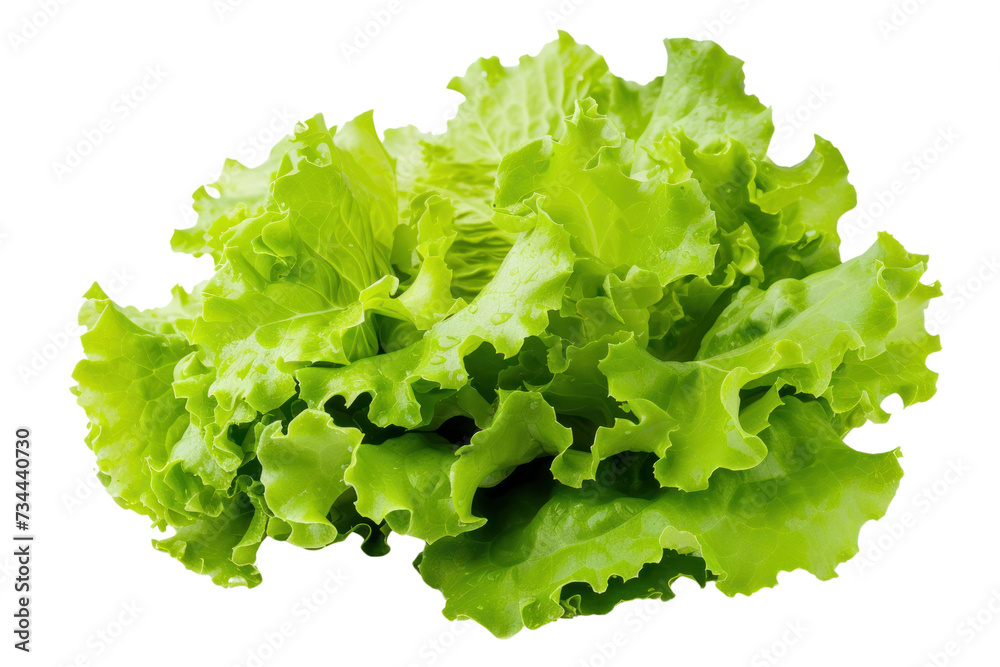 Fresh lettuce isolated on transparent and white background.PNG image Fresh lettuce isolated on transparent and white background.PNG image