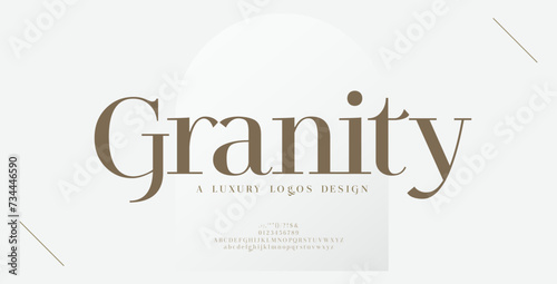 Luxury alphabet letters logo font and number. Classic Elegant Lettering Minimal Fashion. Typography fonts regular logos. vector illustration
