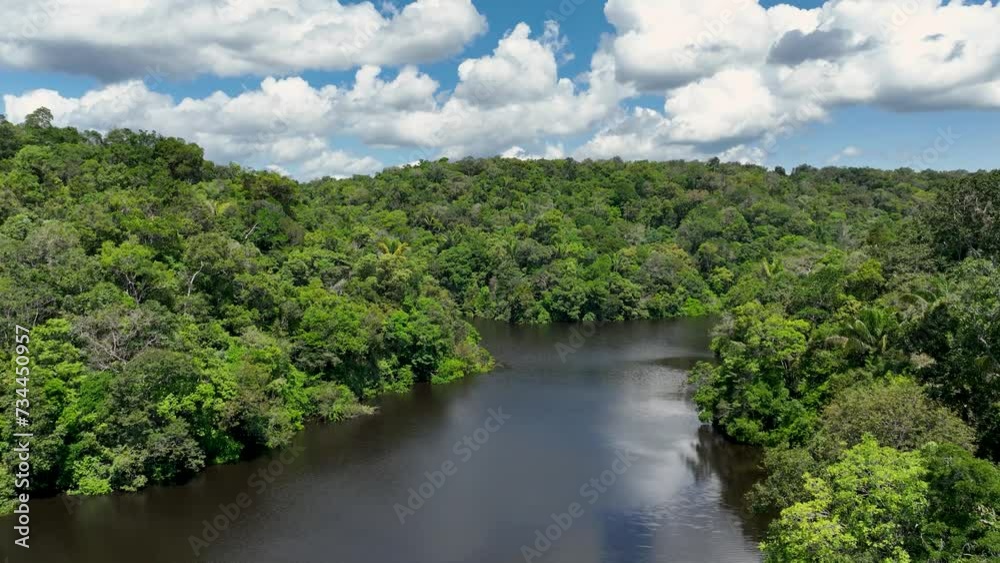 Amazonian Forest At Manaus Amazonas Brazil. Natural Beauty Amazon Forest. Amazon Environment Forest Green. Forest Beautiful Day Forest Backgrounds Panoramic Forest. Forest Green Swamp Rainforest. Amazonian Forest At Manaus Amazonas Brazil. Natural Beauty Amazon Forest. Amazon Environment Forest Green. Forest Beautiful Day Forest Backgrounds Panoramic Forest. Forest Green Swamp Rainforest.