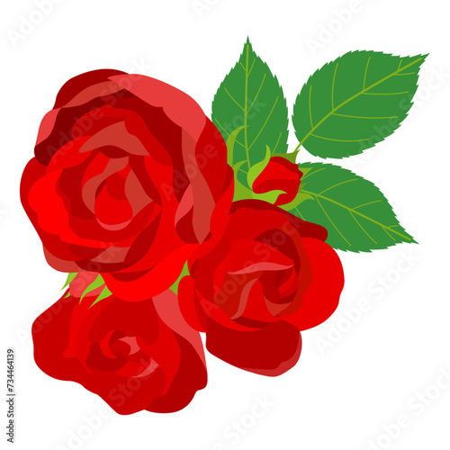 花薔薇のイラスト