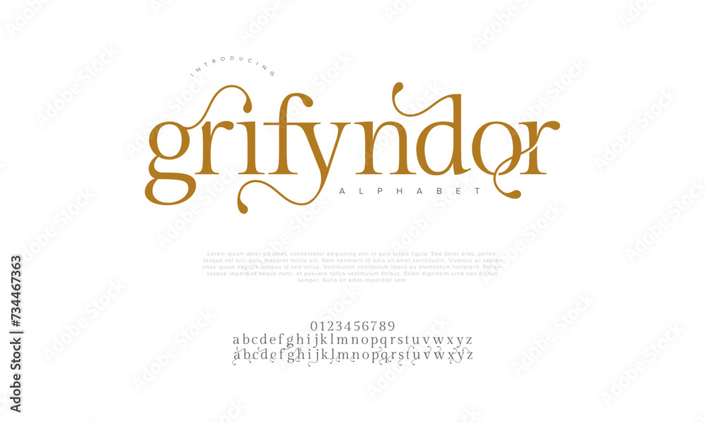 Grifyndor premium luxury elegant alphabet letters and numbers. Elegant wedding typography classic serif font decorative vintage retro. Creative vector illustration