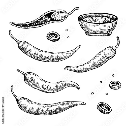 Set of hand drawn chili pepper with various elements. Vector illustration isolated on white background in engraving style. photo
