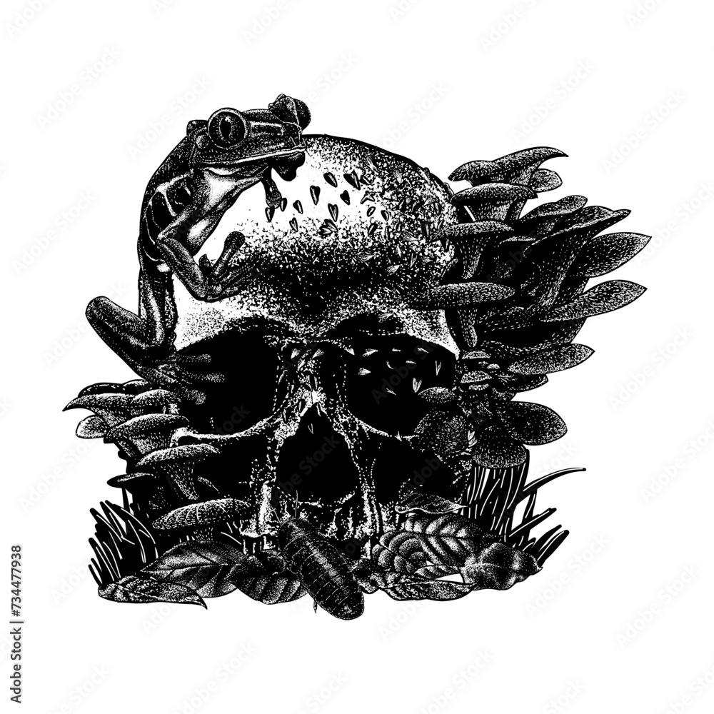 skull, frog, mushrooms and cockroach hand drawing vector isolated on background.