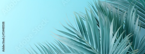 Palm leaves blue background used for presentation of natural organic cosmetic products business for sale online shop Summer tropical beach with minimal concept