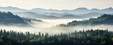 Panoramic landscape mountain forest with morning fog