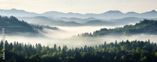 Panoramic landscape mountain forest with morning fog © Hanasta