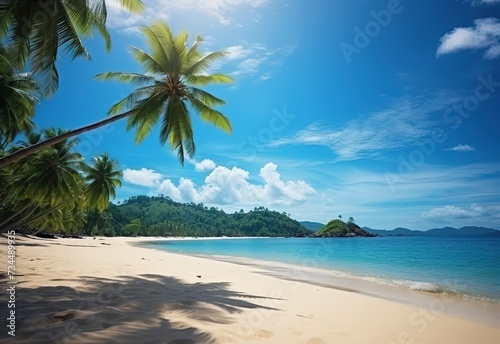 A coconut tree on the beach with a blue sky and the sun shining brightly with clouds