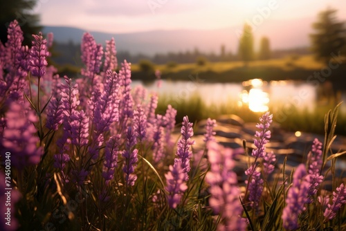 Sunlight streams through a field of purple lupine flowers near a still lake at golden hour  highlighting the beauty of the blooms.