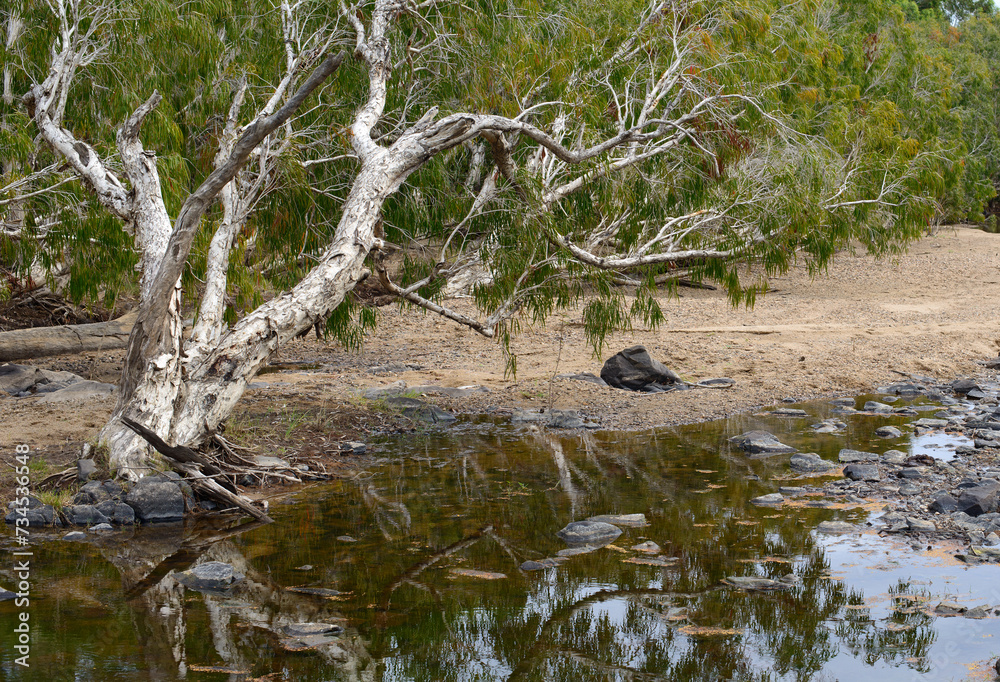Outback creek, Australia Outback creek, Australia
