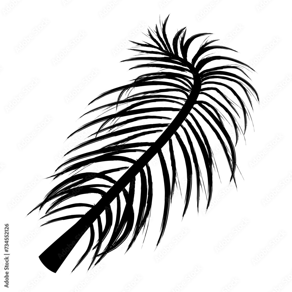 Fototapeta premium Palm leaves silhouette