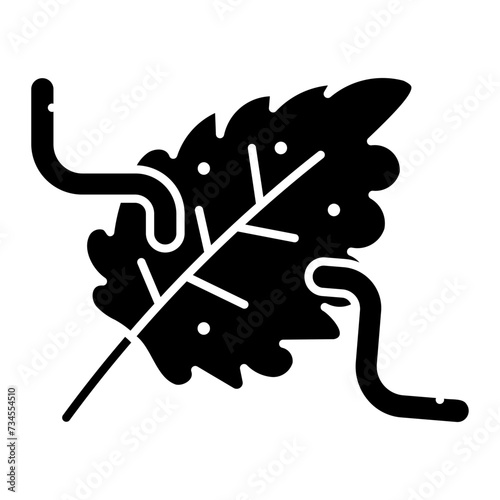 leaf icon