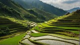 Terraced rice fields carved into hillsides landscape view for celebrations and greeting card from Generative AI