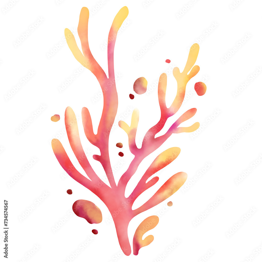 Obraz premium coral