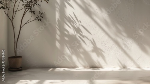 Empty room, Morning light creates shadows on a textured white concrete wall and floor. © Montipa