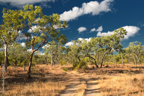 Agate Creek Fossicking Area, near Forsayth, North Queensland, Australia photo