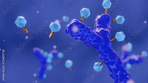 3d animation of Antibody drug conjugated with cytotoxic payload.  antibody linked to a biologically active cytotoxic (anticancer) payload or drug  photo