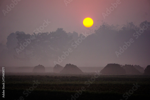 The villages of Bangladesh are covered in fog on winter mornings. The sun is coming up.