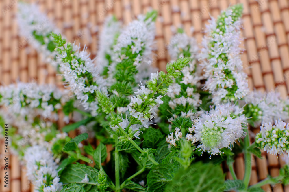 This image captures the delicate, tiny white blossoms of peppermint (Mentha piperita), arranged against a woven mat background. The detailed close-up highlights the intricate details of the flower This image captures the delicate, tiny white blossoms of peppermint (Mentha piperita), arranged against a woven mat background. The detailed close-up highlights the intricate details of the flower