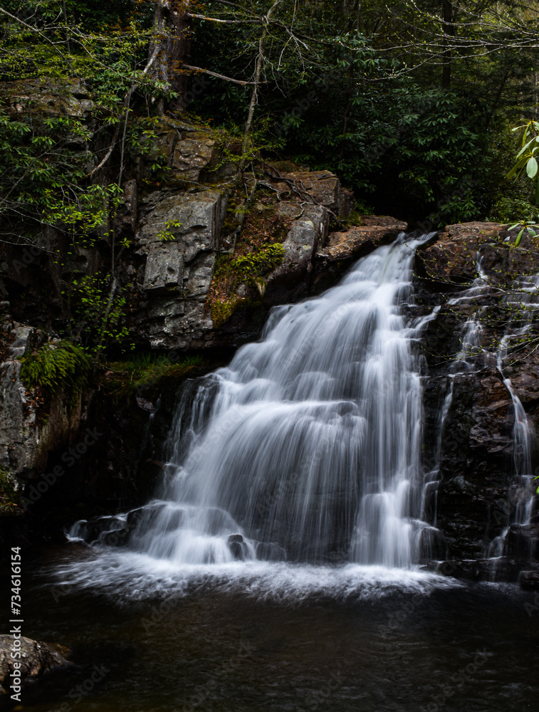 waterfall in the woods