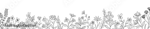 Botanical line art Wildflower border. Floral sketch drawing of plant Leaves and flowers. Outline black vector illustration isolated on transparent background. Design element for banner, greeting cards