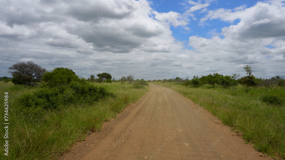landscape, a dirt road in the African savannah