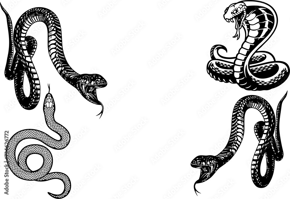 Viper poisonous snakes set in engraving style. serpent cobra and python