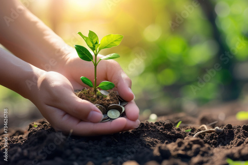 Concept of Growth and Prosperity: Human Hands Holding a Young Plant and Coins in Fertile Soil