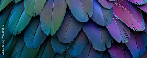 Close up of beautiful bird feathers of Blue and Purple, exotic natural textured background in different blue colors and green, Brazil